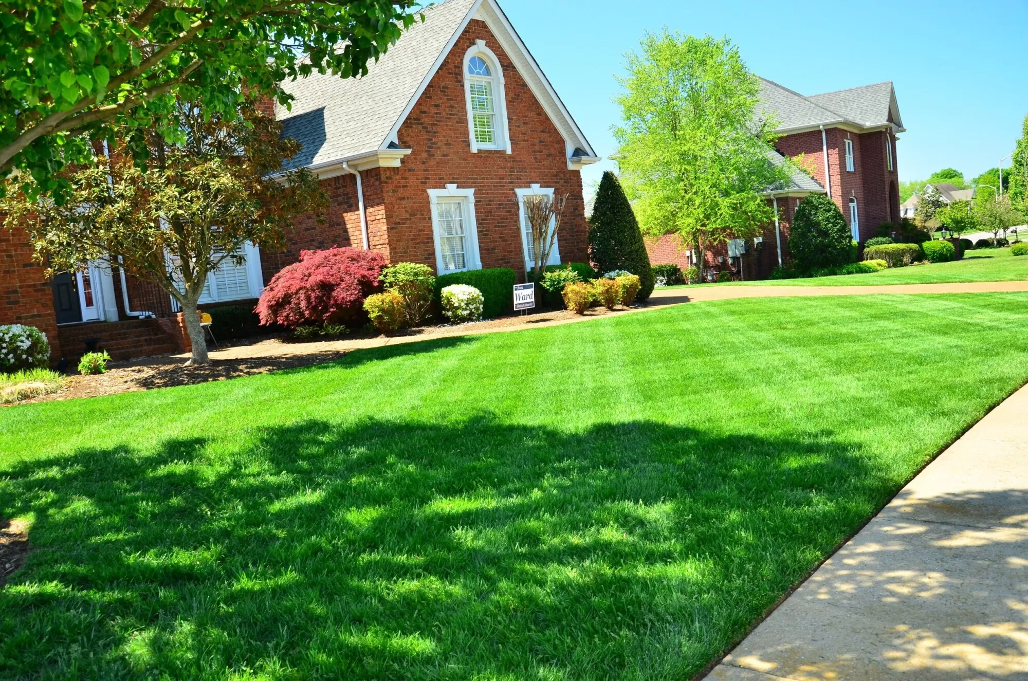 A Guide to Summer Lawn Maintenance