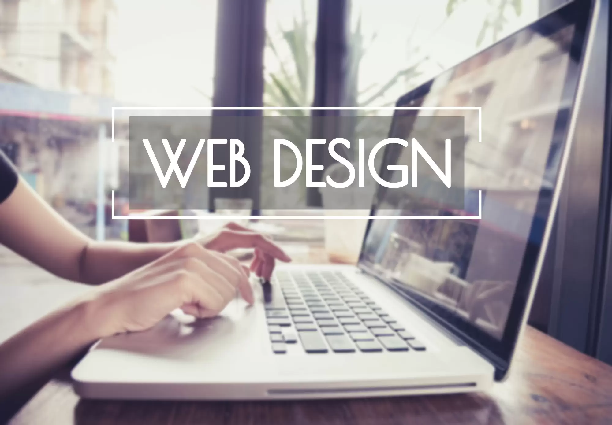 5 Reasons To Hire Professional Web Design Services