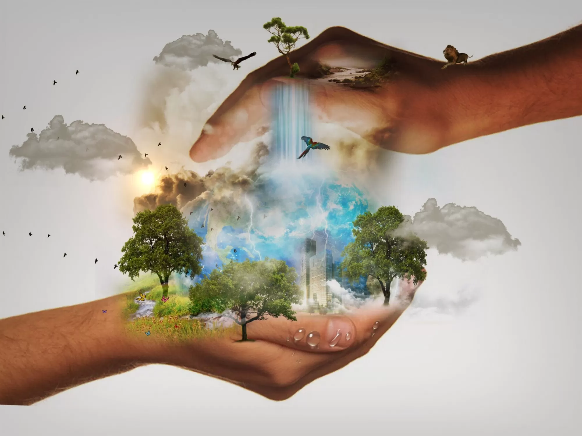 4 Ways to Save the Planet And Live an Eco-Friendly Lifestyle