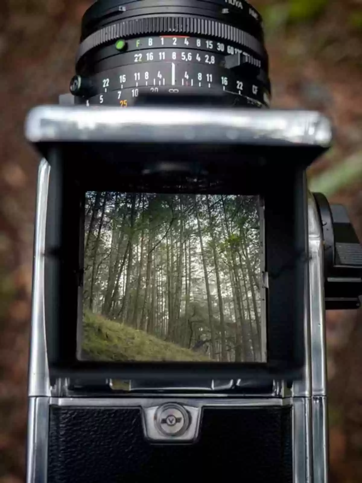 Precautionary Cam Prowler HD Motions Trail Camera – A person Guide