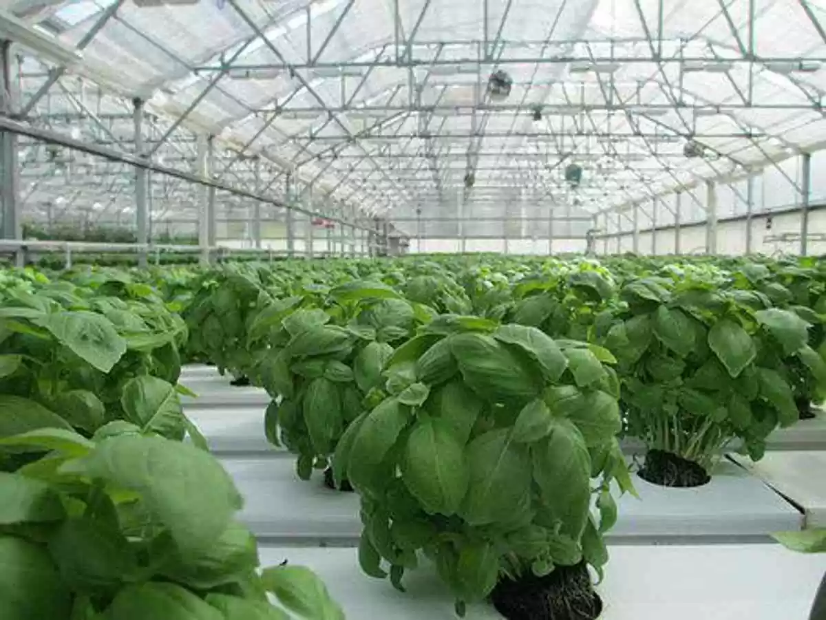 How-To Get Started With Organic Gardening