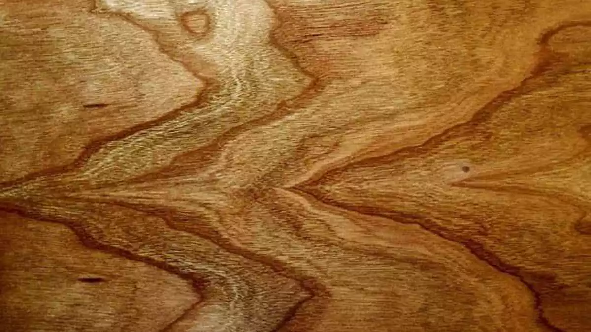 Tips on how to Lay Laminate Flooring