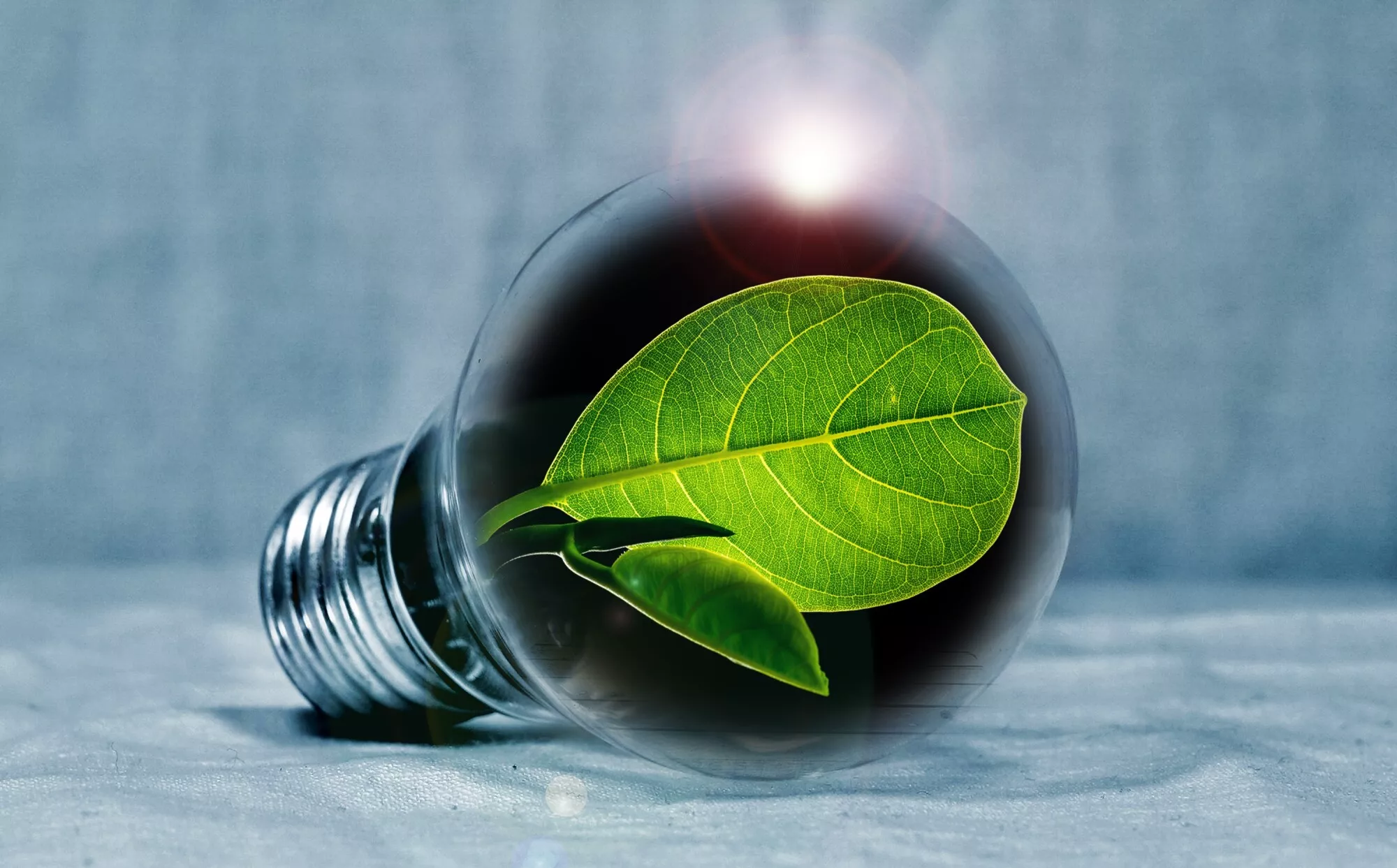 The Good, the Bad, and the Green: Types of Green Energy