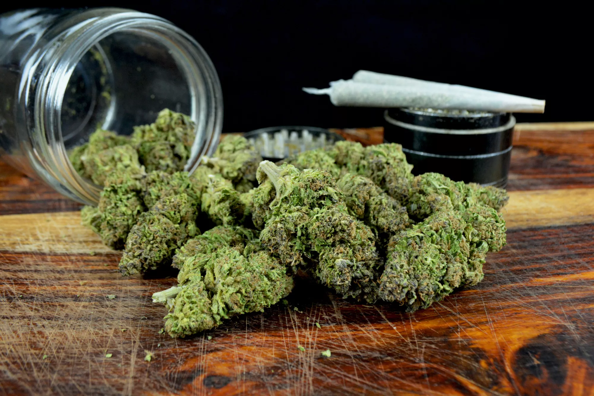 The Different Types of Marijuana Strains That Are Grown Today
