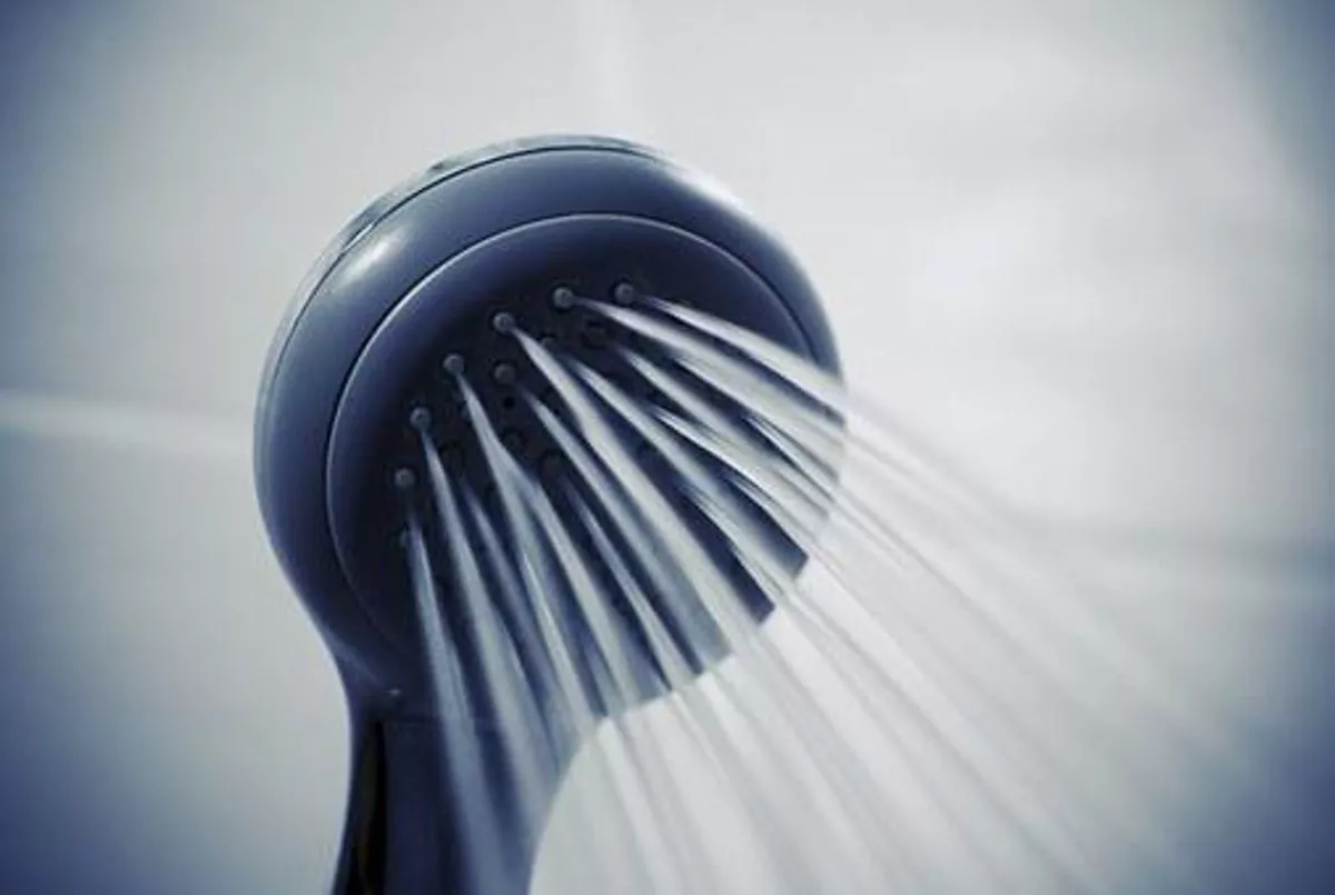 Rain shower head