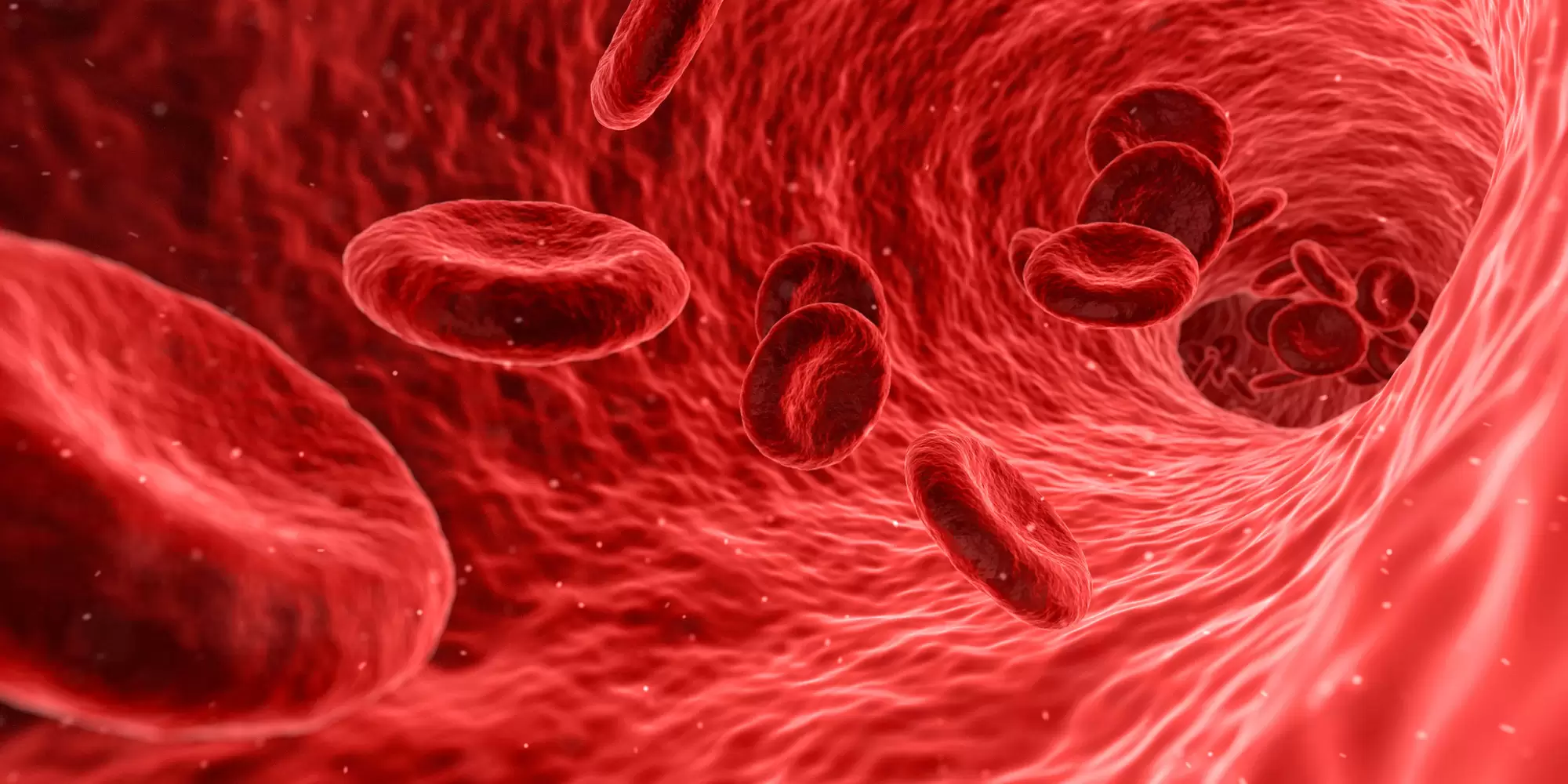 The Brief Guide That Makes Improving Blood Circulation Easy