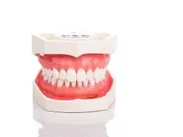 4 Essential Tips for Healthy Teeth and Gums