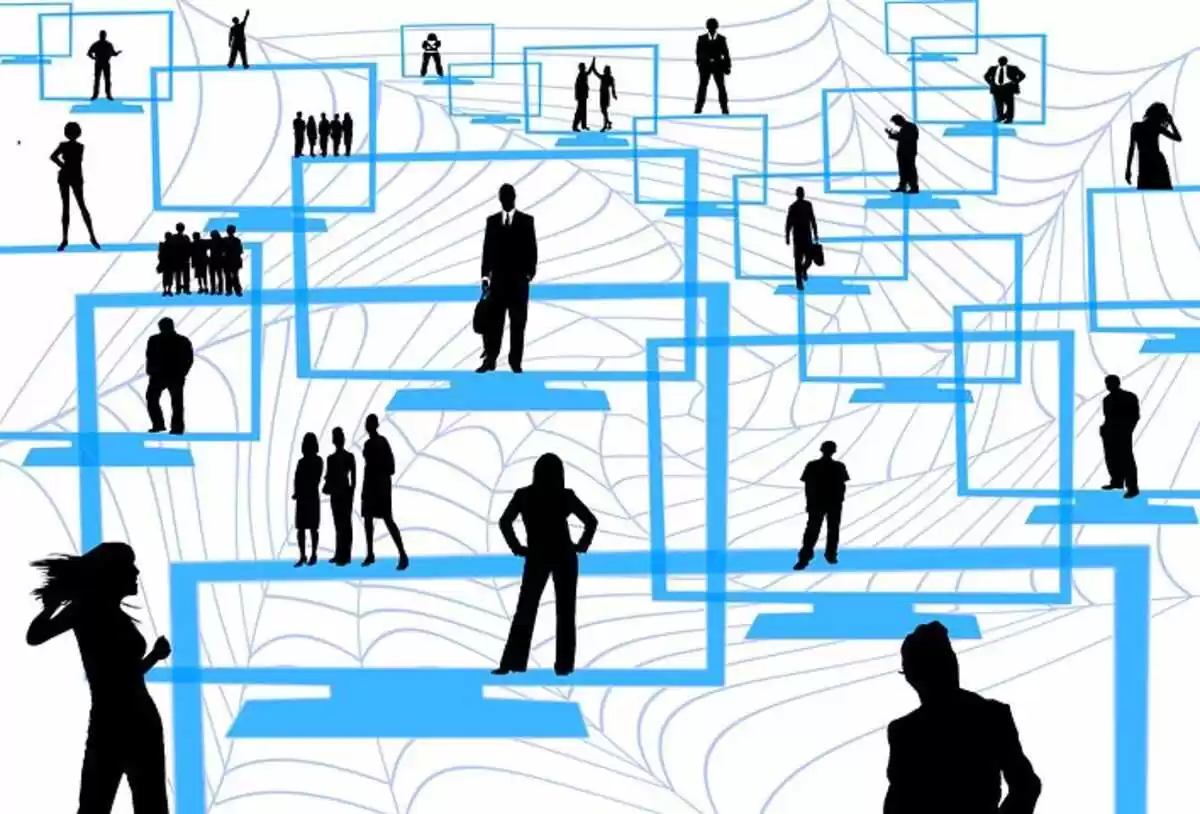 Organization Performance Management