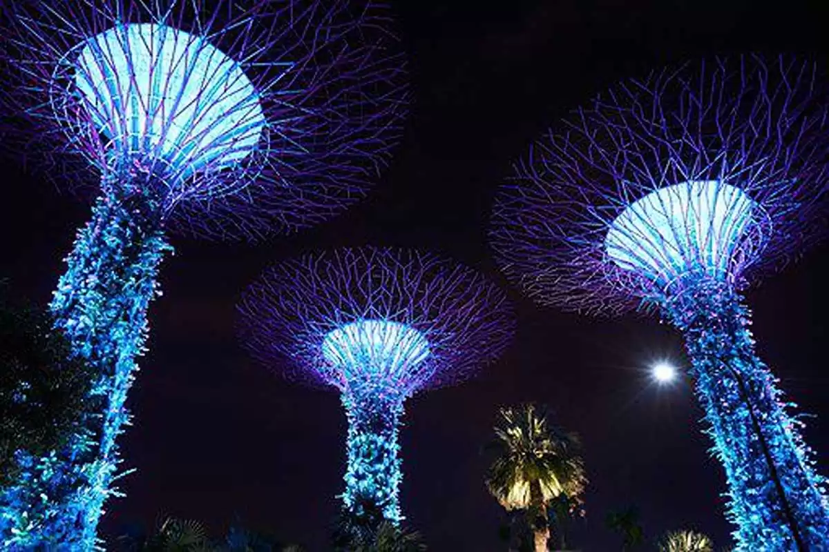 botanical gardens lights