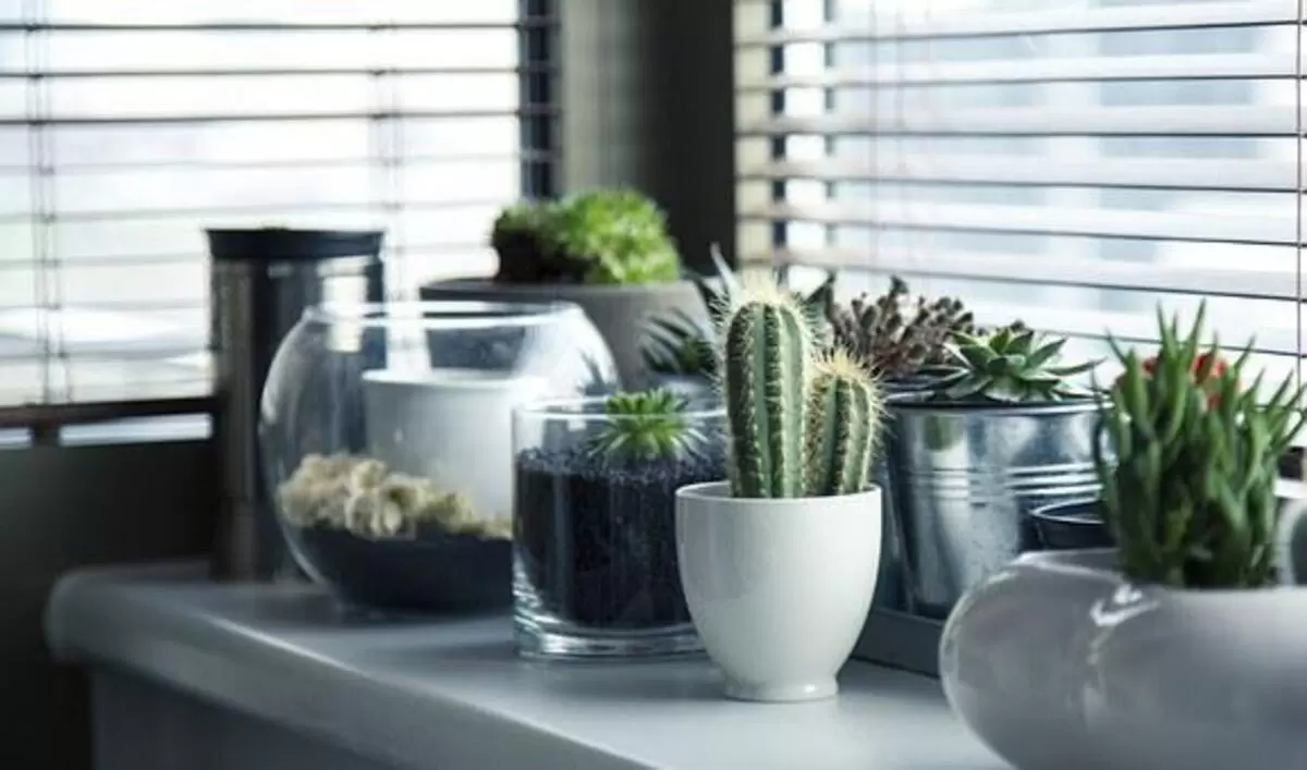 decoration design