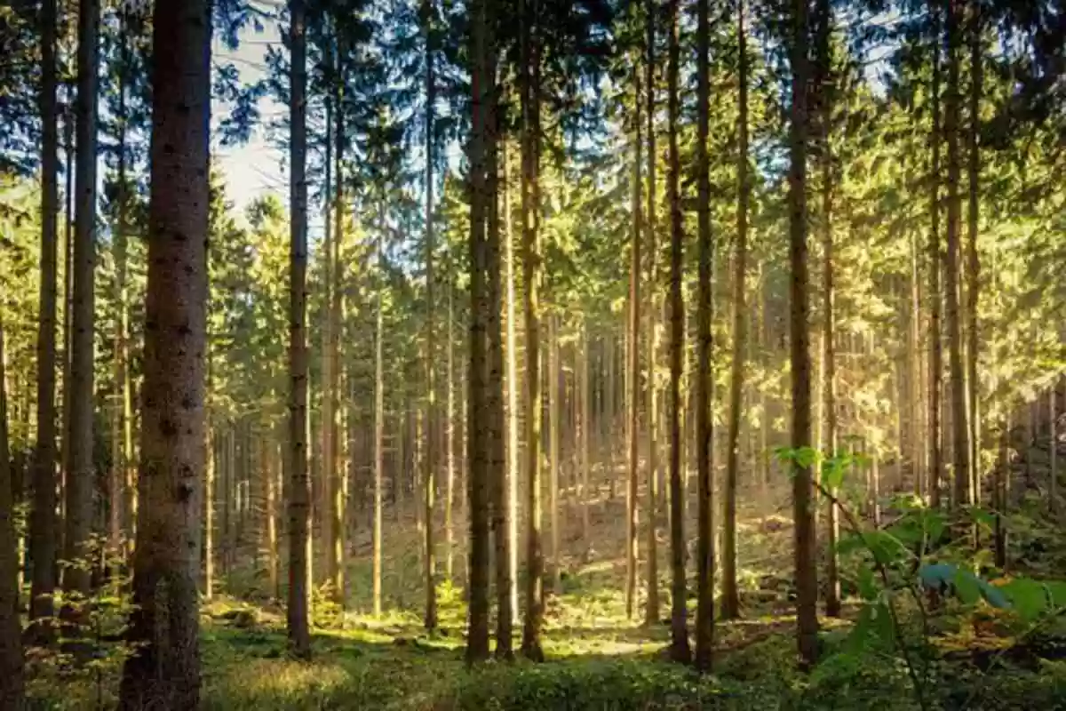 what is tyndall effect