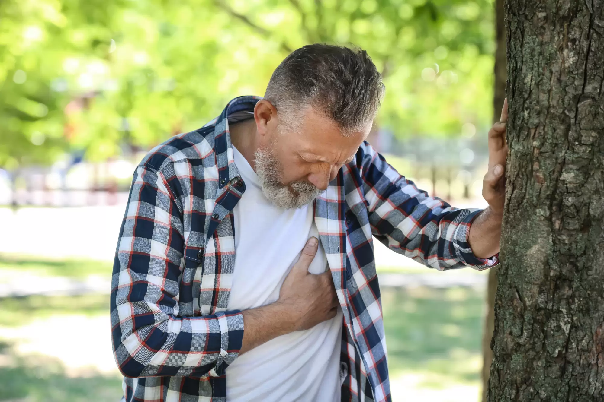 Cardiac Arrest vs. Heart Attack: What Are the Differences?