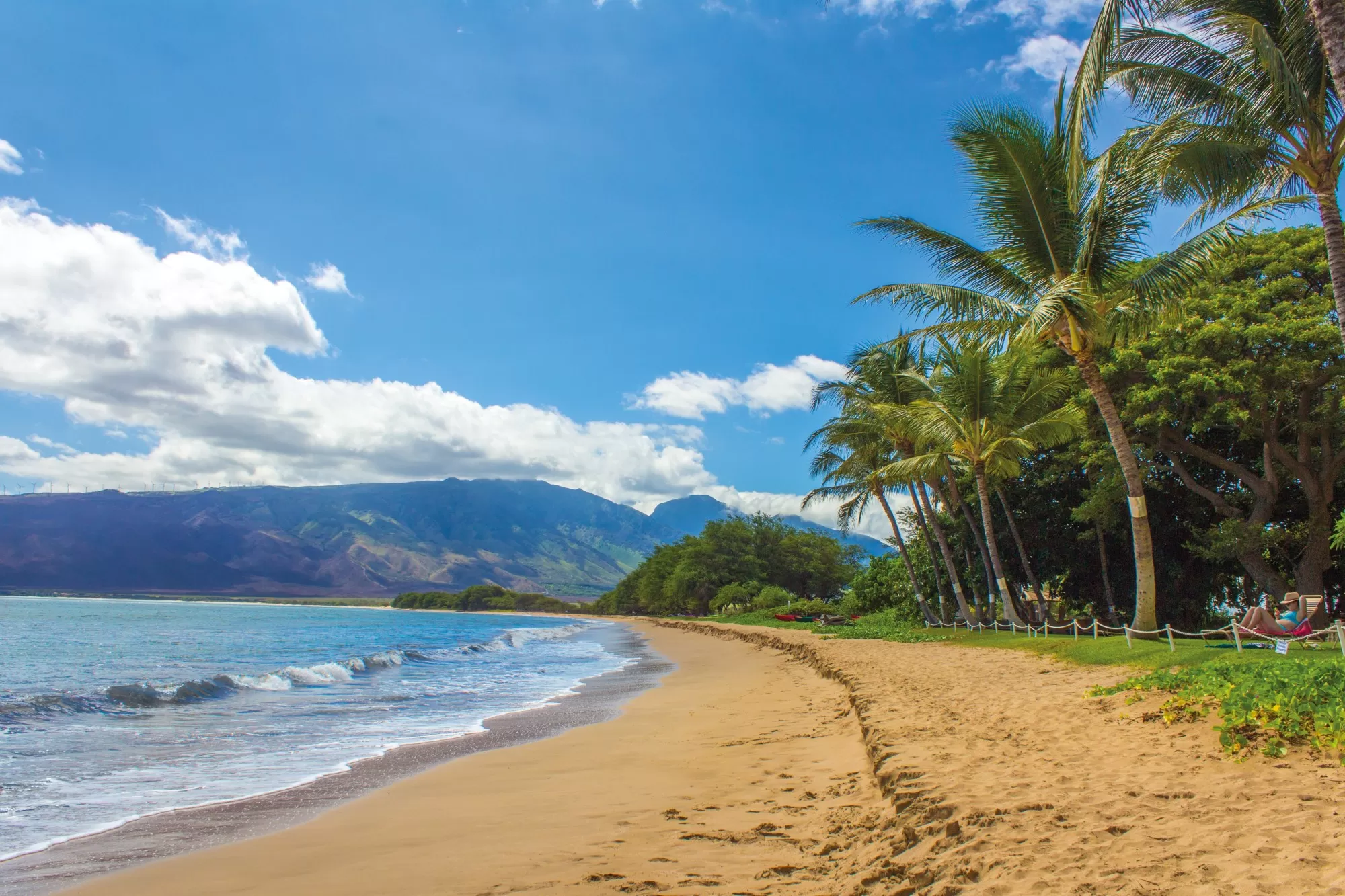 8 Honolulu Tourist Attractions to Add to Your Vacation Bucket List