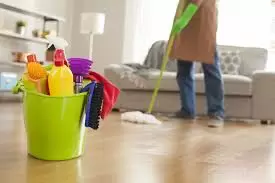 5 Things You Should Know About Professional Cleaning Companies