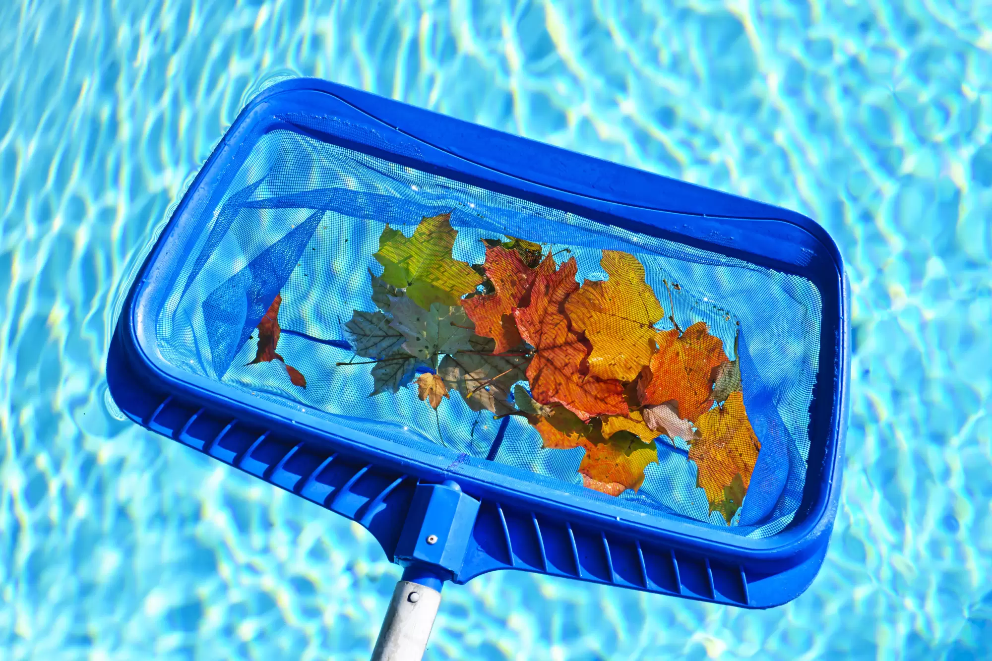 5 Pool Maintenance Tips All Homeowners Should Know