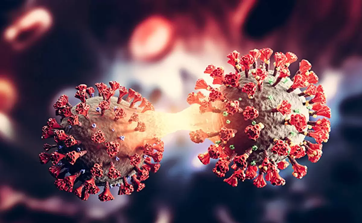 Coronavirus and the Scriptures