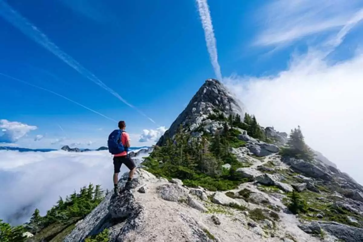 Fcm Travel Solutions Reviews