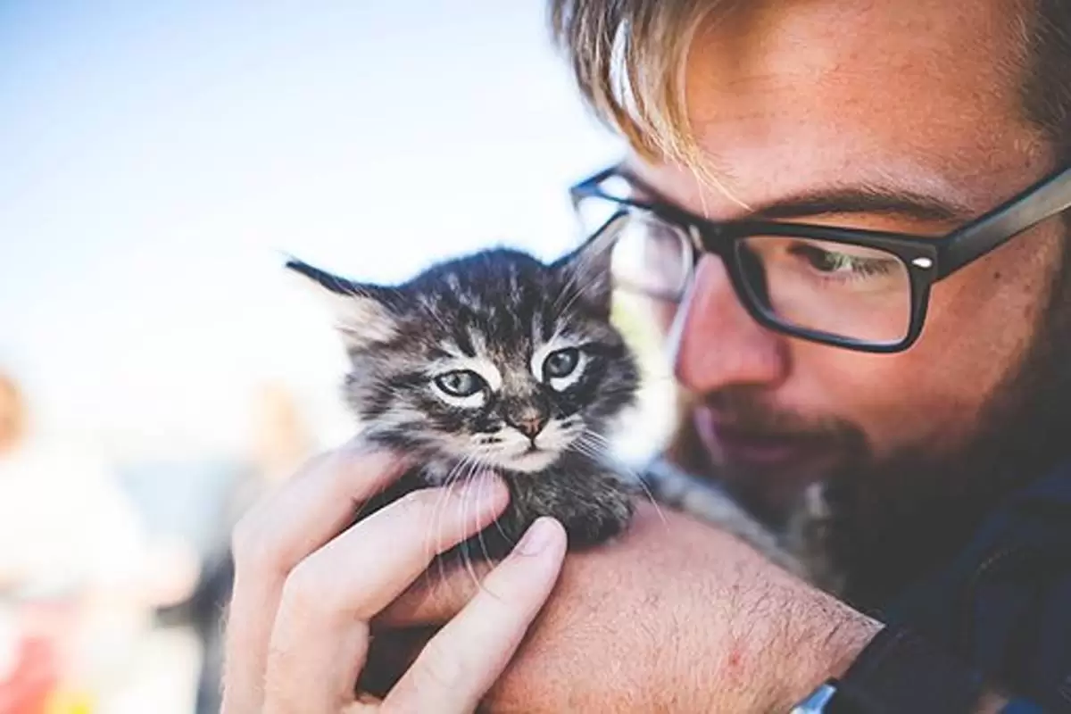 Responsible Pet Owner