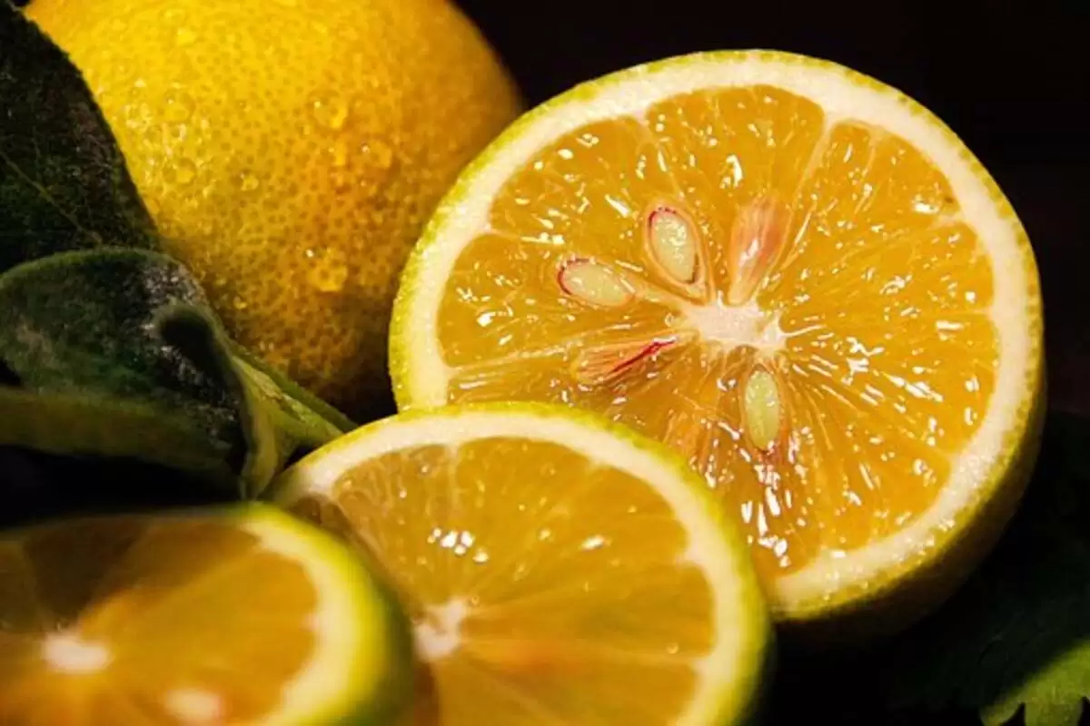 Sow Lemon Seeds