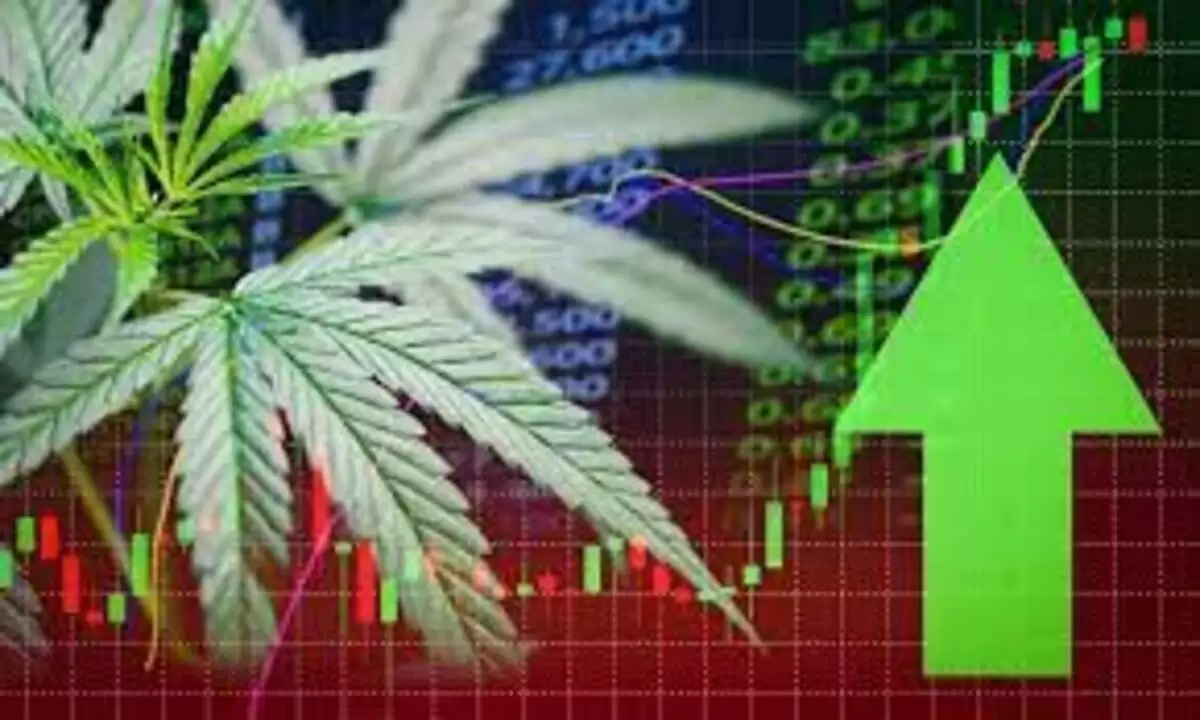 Alpha Stock – Is it a Buy?