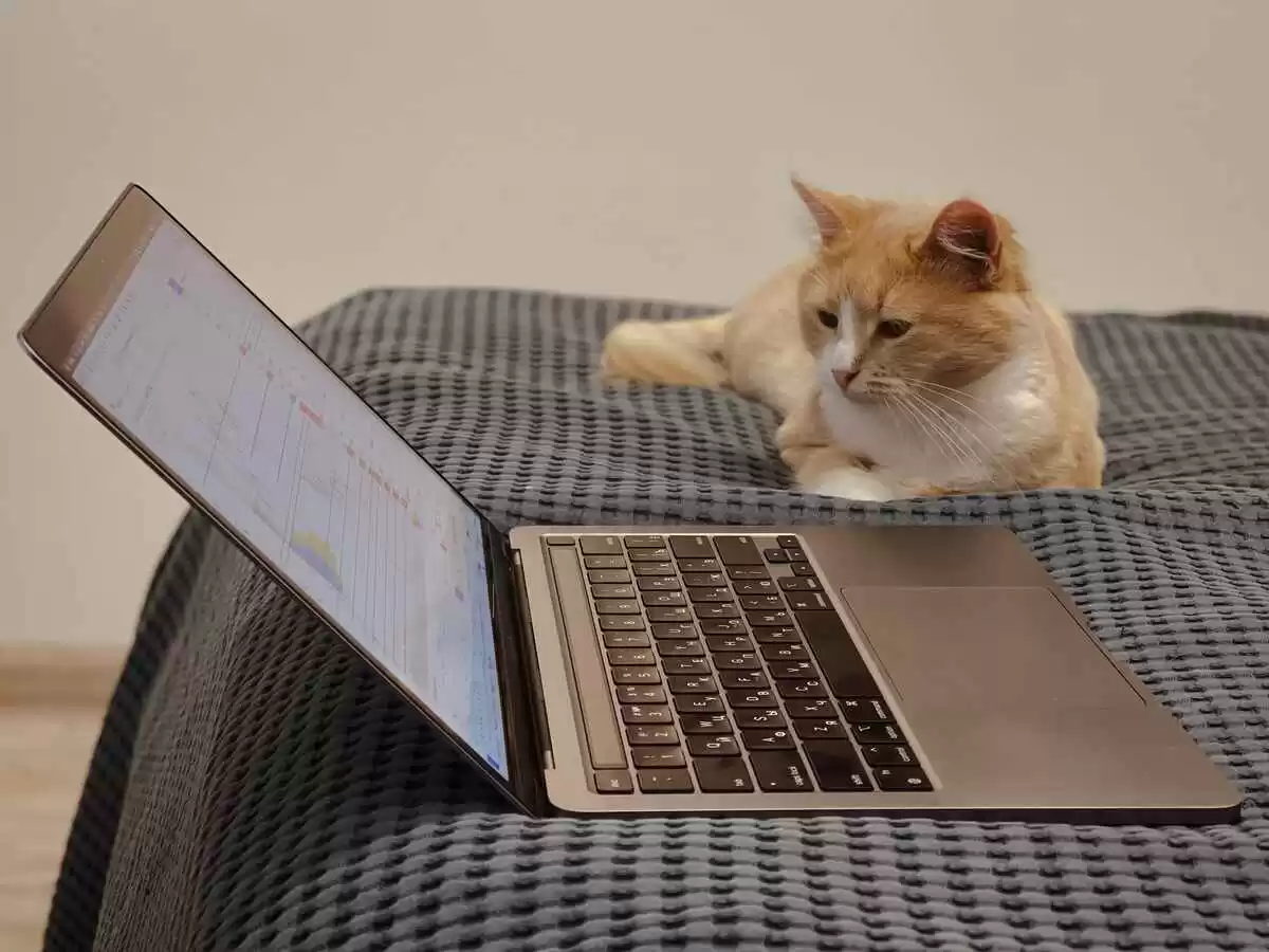MSI Laptops – Lightweight and Affordable