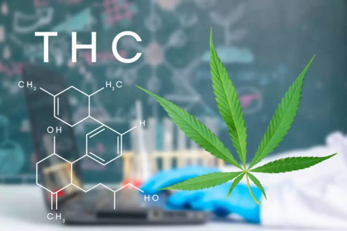 The Most Potent Delta 8 THC Products for a Strong, Long-Lasting High