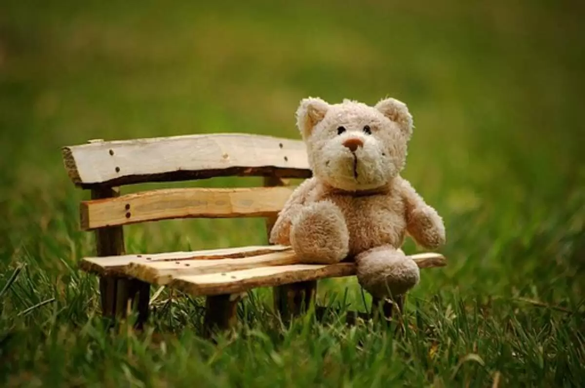 cute stuffed animals