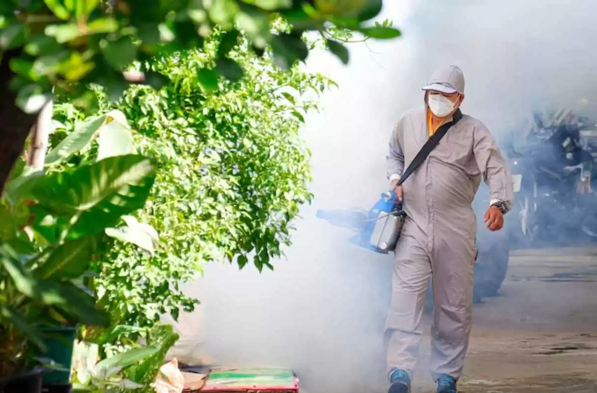 Rove Pest Control Madison