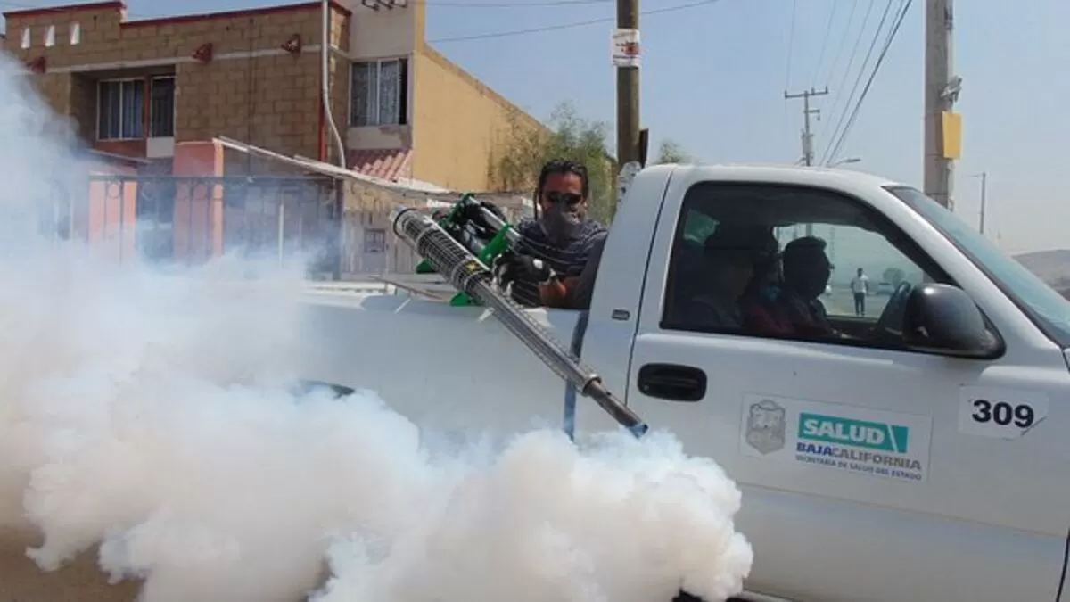 Bed Bug Control