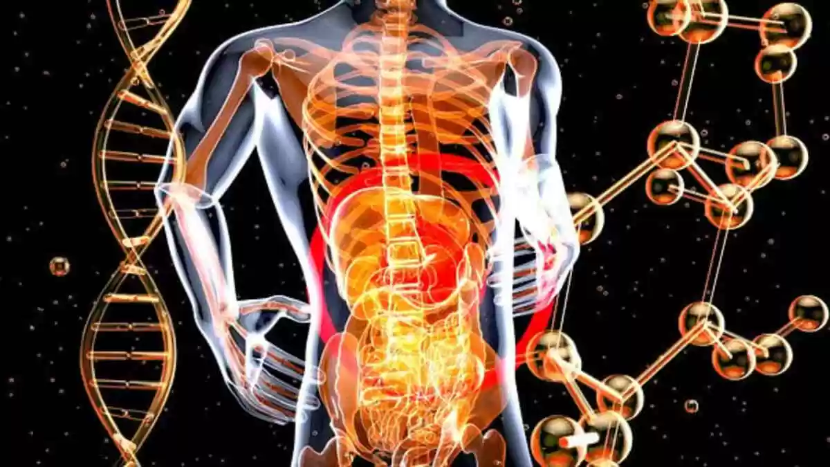 Best Gastroenterologists in Vijayawada