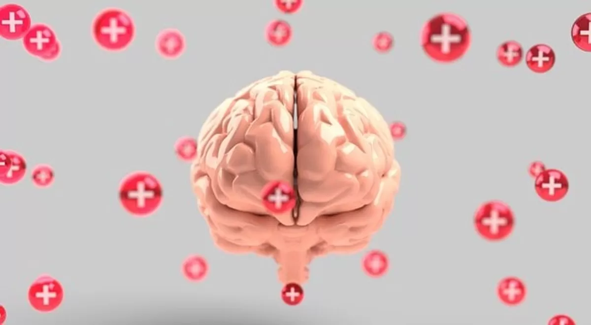 How to Prevent a Mental Illness