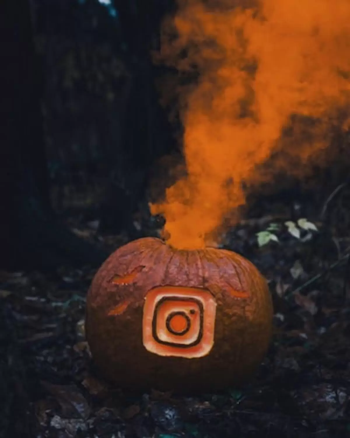 buy Instagram followers Australia