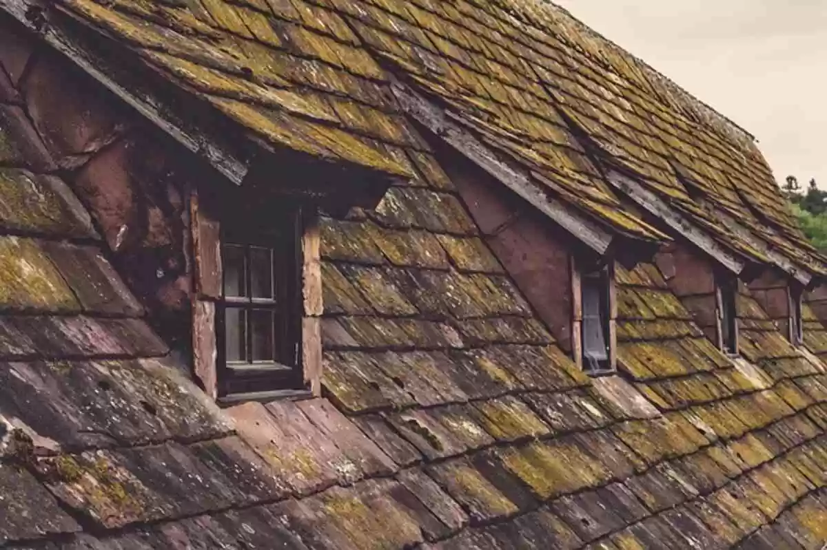 How to Build a Roof of a House