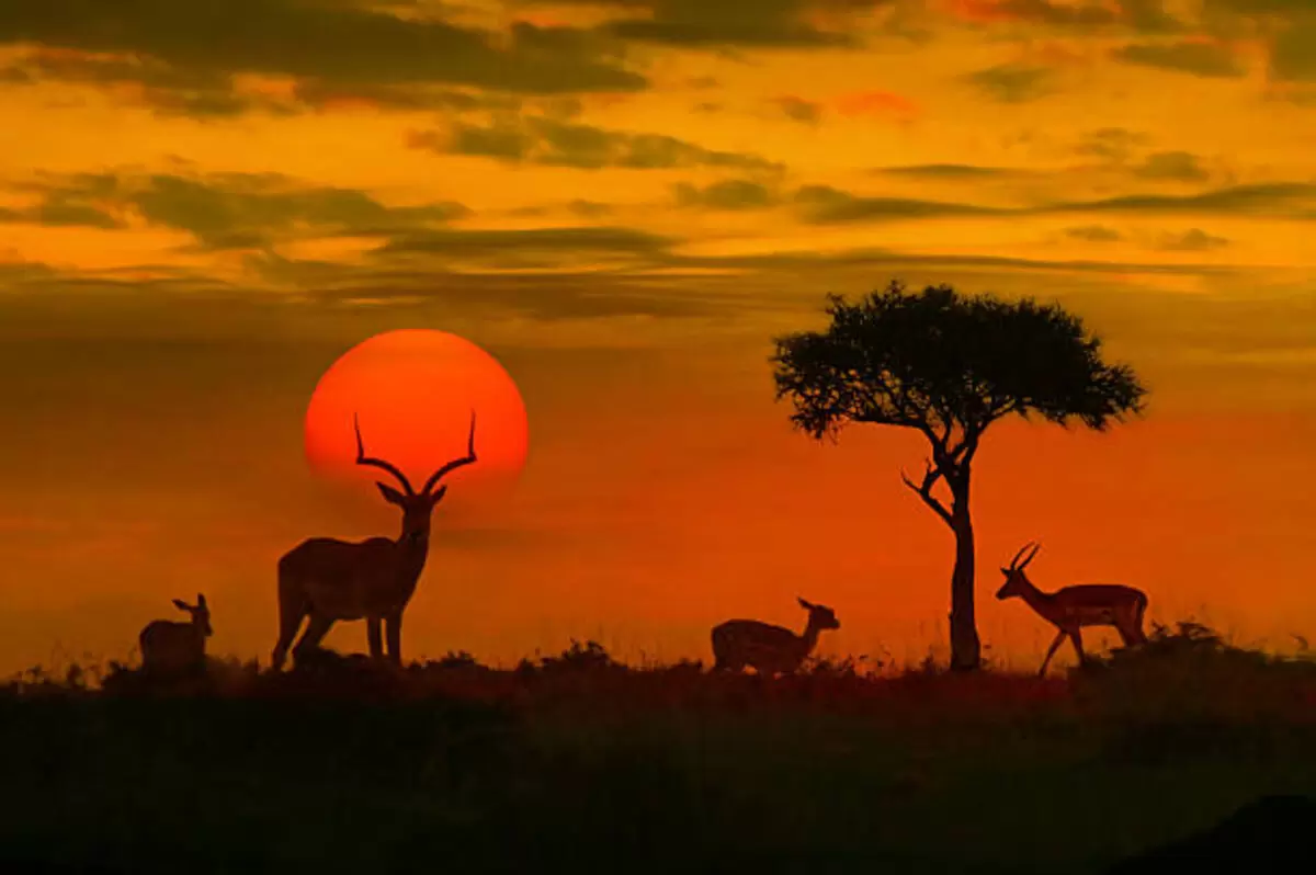Tours of prehistoric sites in Kenya