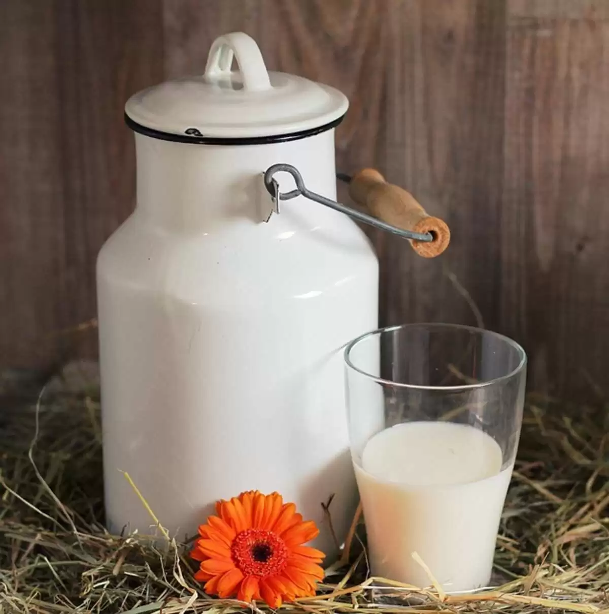 The Best Prepper Food to Stockpile