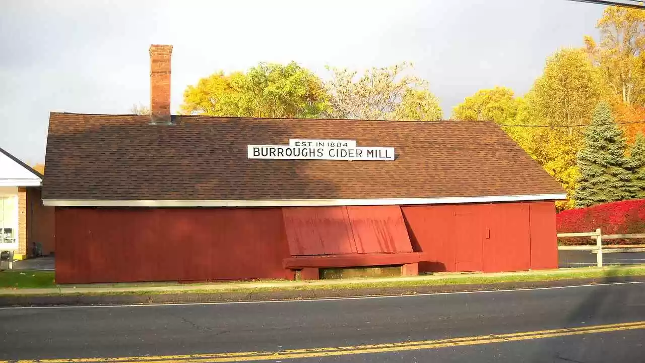 connecticut business search