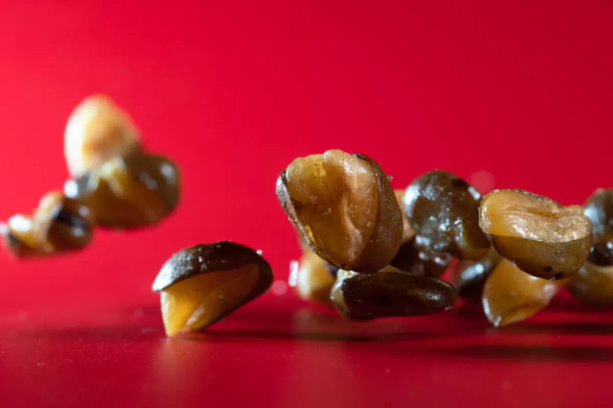 Mexican Jumping Beans: Nature’s Curious Marvel