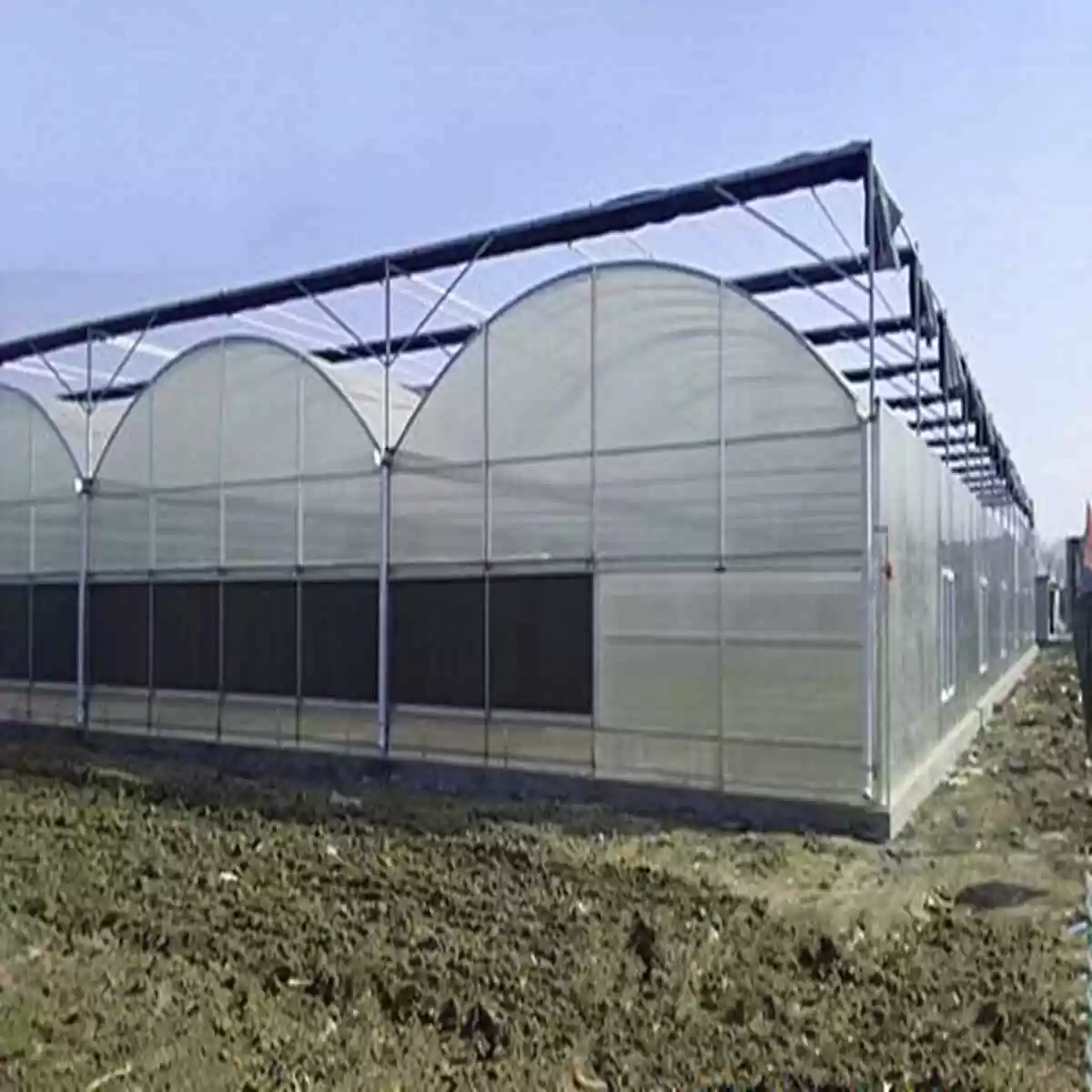 china tunnel film greenhouse