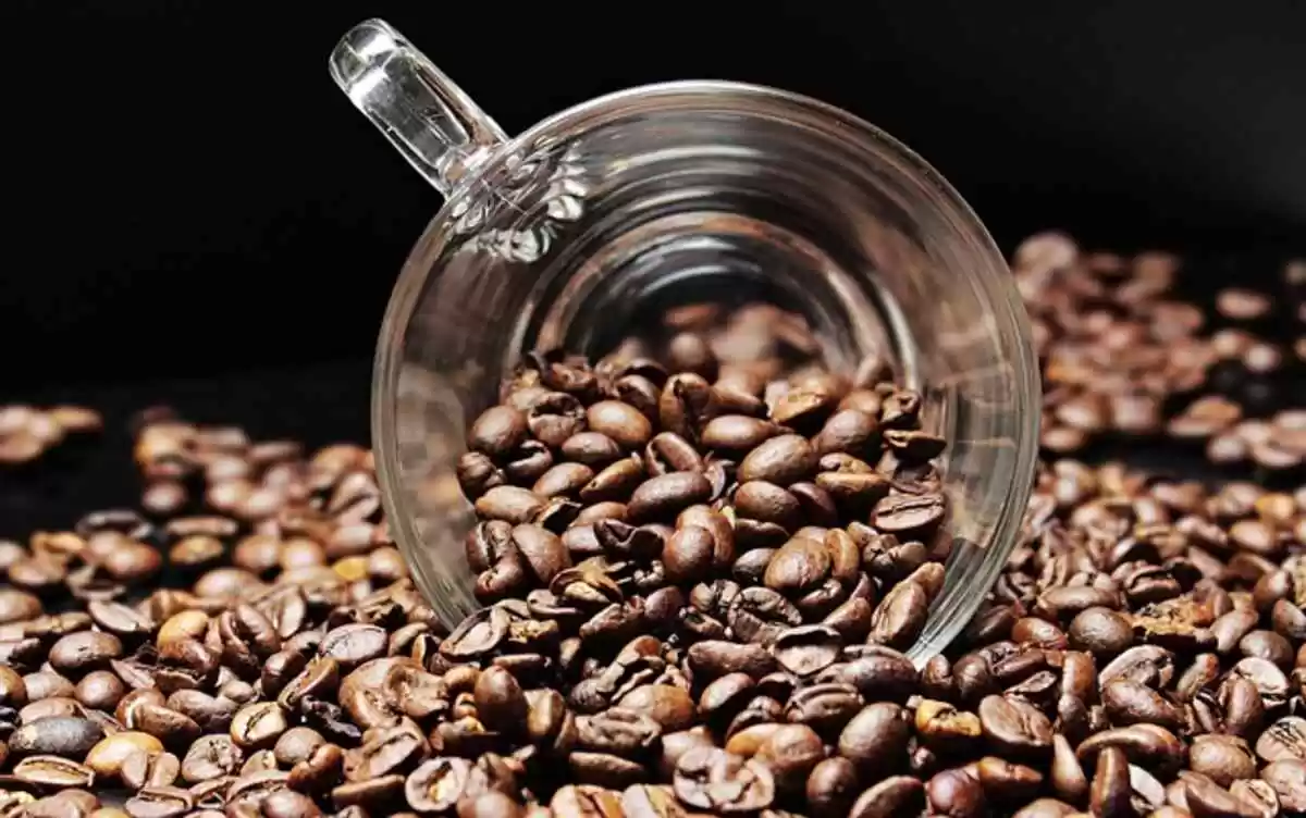 How Much Caffeine in Bang Energy Drink?