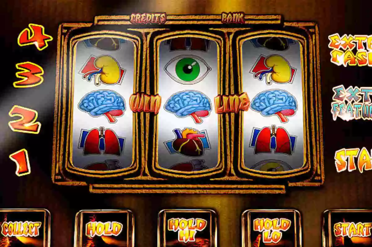 Slot  (1)