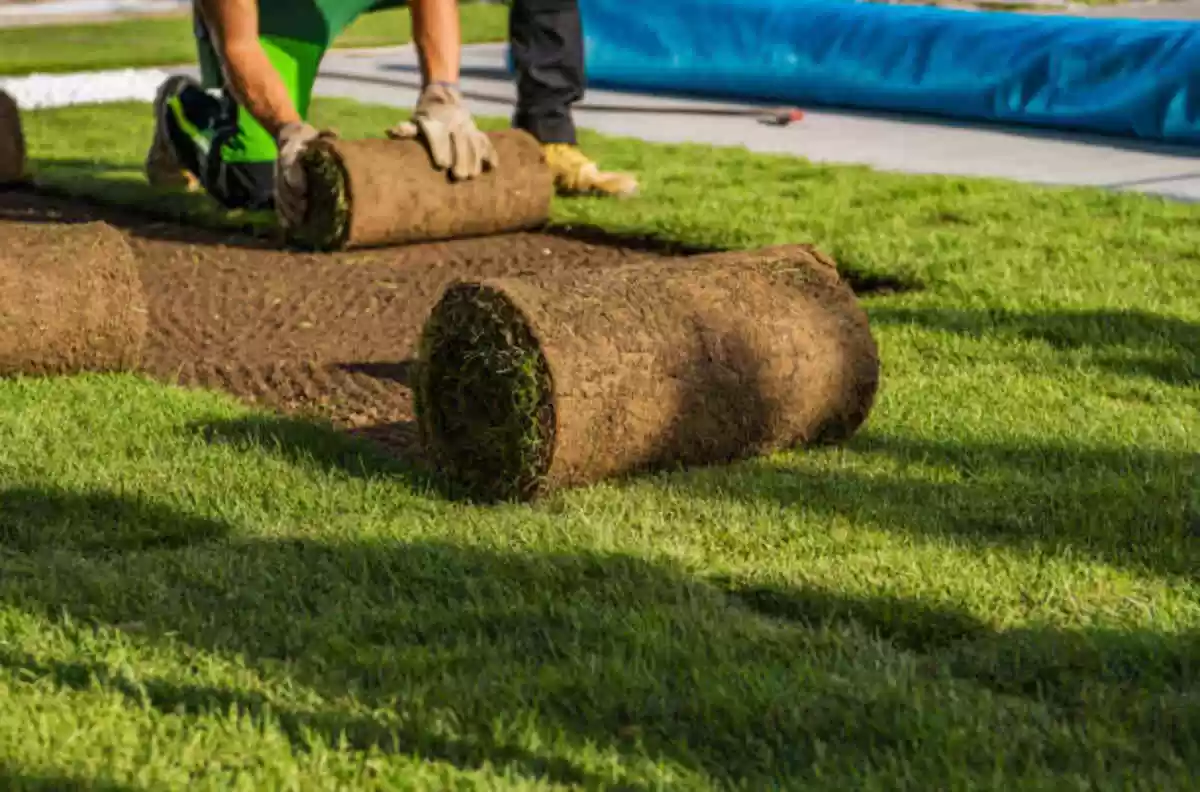 Landscape Lighting Contractors Near Me