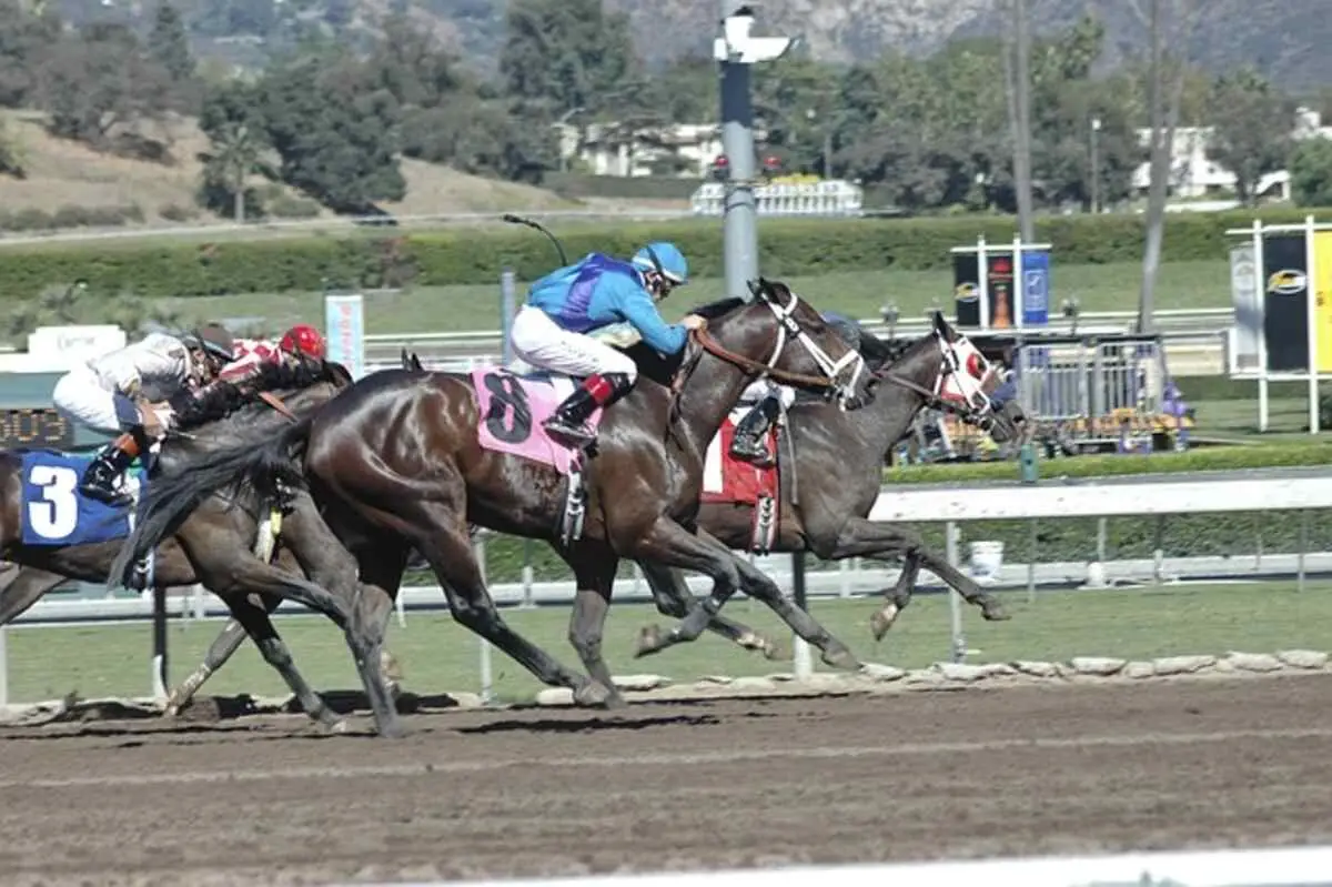 What exactly Legal Bookmaker?